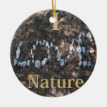 J'aime l'ornement de nature
