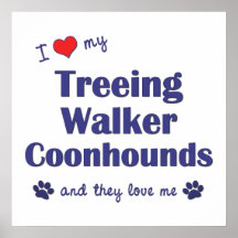 J'aime mes Coonhounds de marcheur de Treeing (les  Affiches