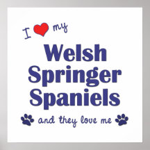 J'aime mes springers spaniels de Gallois (les chie Poster