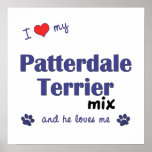 J'aime mon affiche de mélange de Patterdale Terrie
