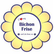 J'aime mon Bichon Frise (le chien femelle) Découpage En Acrylique