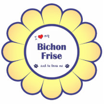 J'aime mon Bichon Frise (le chien masculin) Photo En Découpe