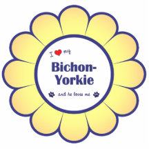 J'aime mon Bichon-Yorkie (le chien masculin) Photo Sculpture