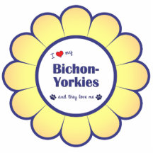 J'aime mon Bichon-Yorkies (les chiens multiples) Photo Sculptures