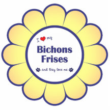 J'aime mon Bichons Frises (les chiens multiples) Photos En Relief