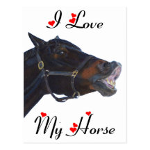 J'aime mon cheval ! Drôle Carte Postale