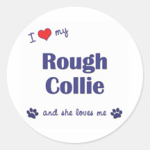 J'aime mon colley rugueux (le chien femelle) autocollants