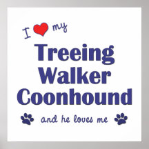 J'aime mon Coonhound de marcheur de Treeing (le ch Posters
