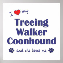 J'aime mon Coonhound de marcheur de Treeing (le ch Affiche