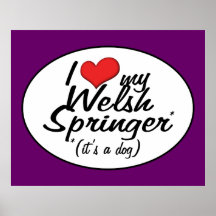 J'aime mon Gallois Springer (c'est un chien) Affiche