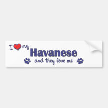 J'aime mon Havanese (les chiens multiples) Autocollants Pour Voiture