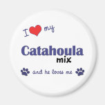 J'aime mon mélange de Catahoula (le chien masculin Aimants