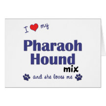 J'aime mon mélange de chien de pharaon (le chien f carte de vœux