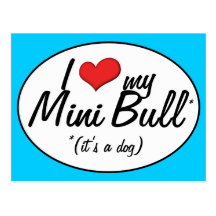 J'aime mon mini Taureau (c'est un chien) Cartes Postales