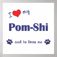 J'aime mon Pom-Shi (le chien masculin) Posters