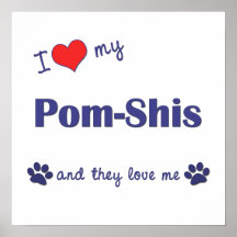 J'aime mon Pom-Shis (les chiens multiples) Poster