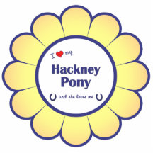 J'aime mon poney de Hackney (le poney femelle) Découpage En Acrylique