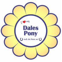 J'aime mon poney de vallées (le poney femelle) photo sculptures