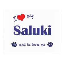J'aime mon Saluki (le chien masculin) Cartes Postales
