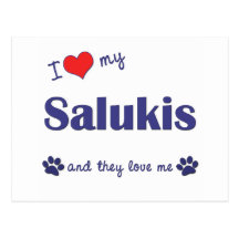 J'aime mon Salukis (les chiens multiples) Carte Postale
