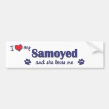 J'aime mon Samoyed (le chien femelle) Adhésifs Pour Voiture