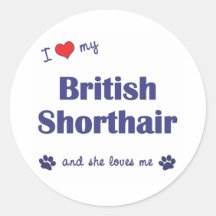 J'aime mon Shorthair britannique (le chat femelle) Autocollants