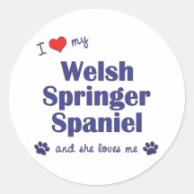 J'aime mon springer spaniel de Gallois (le chien f Autocollants