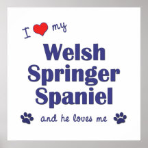 J'aime mon springer spaniel de Gallois (le chien m Affiches