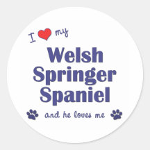 J'aime mon springer spaniel de Gallois (le chien m Autocollant Rond