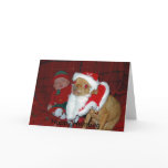 jake ETC 233_edited, Happy Humbug Greeting Cards