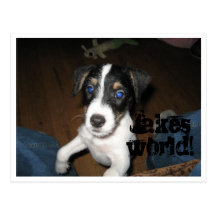 Jakes world! post card