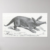 James Johonnot - Aardvark Portfolio Print