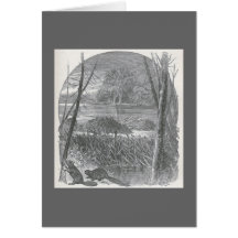 James Johonnot - Beavers and Dam Greeting Cards
