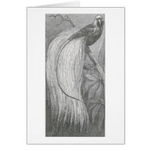 James Johonnot - Bird of Paradise Greeting Cards