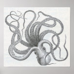 James Johonnot - Octopus Print