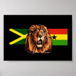 Janda Flags Posters