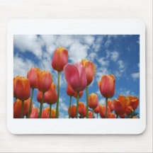 Janesville, Wisconsin Mousepad
