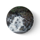January 16 (170) pins