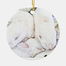 January Bunny Christmas Ornaments