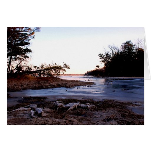 January Winter Greeting Cards