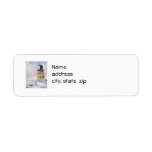 January's Light Return Address Labels