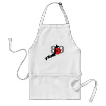 Japan Earthquake 8.9 Aprons
