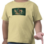 Japan Tokyo Square Shirt