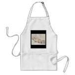 Japanese Apron
