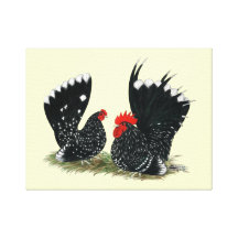Japanese Bantams Mottled Gallery Wrap Canvas