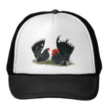 Japanese Bantams Mottled Hat