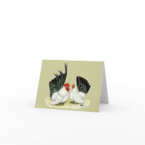 Japanese Blacktail Bantams