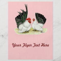 Japanese Blacktail Bantams Flyers
