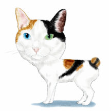 Japanese Bobtail Caricature Photo Cutout