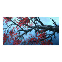 japanese cherry blossom flower tree  oriental art